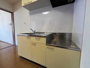 Pic8