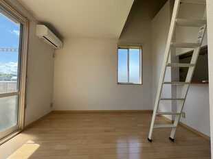 Pic11