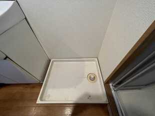 Pic3