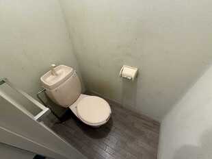 Pic41