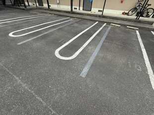 Pic19