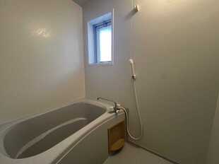 Pic8