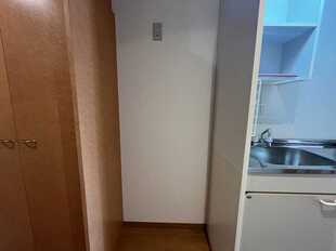 Pic11