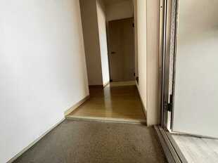 Pic3