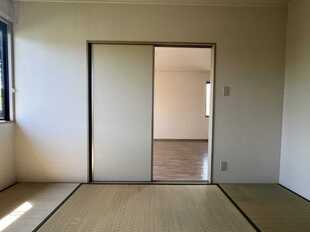 Pic19