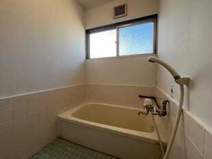 Pic8