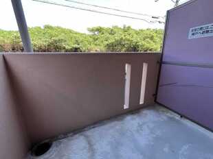 Pic11