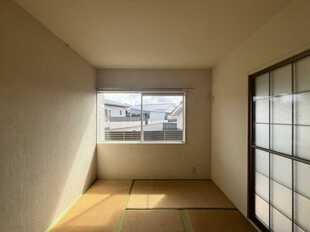 Pic15