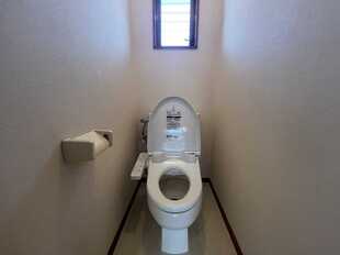 Pic3