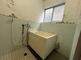 Pic8