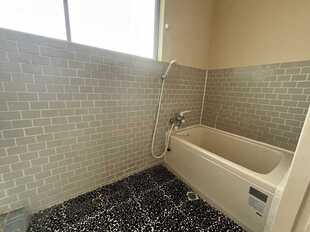 Pic11
