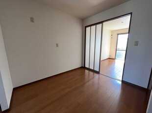 Pic5