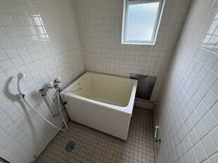 Pic11