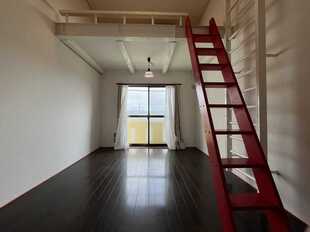 Pic8