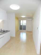 Pic1