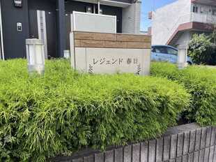 Pic1