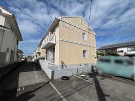 ◆テースフルライト