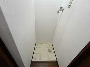 Pic3