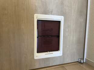 Pic11
