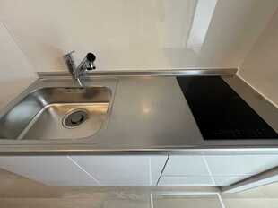Pic3