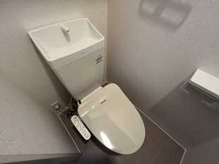 Pic7