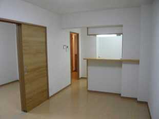 Pic1
