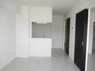 Pic1