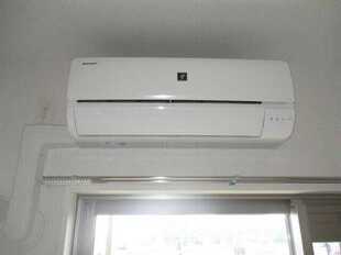 Pic11