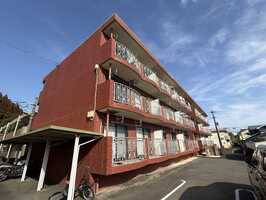 ◆らふぃーね治