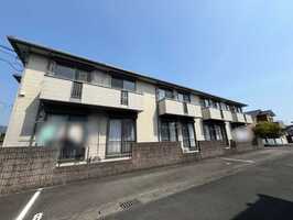 ◆ヘーゼルパレン