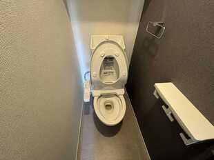 Pic15