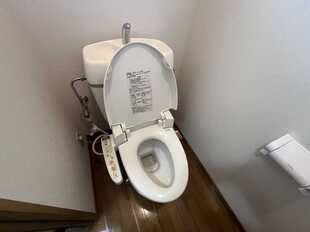 Pic41