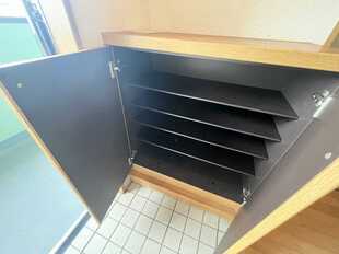 Pic1