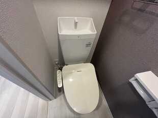 Pic13