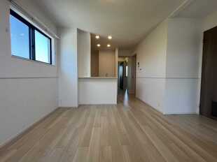 Pic1