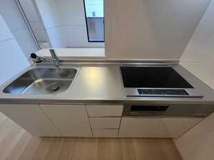 Pic11