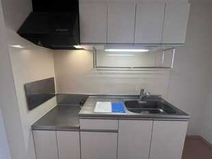 Pic8