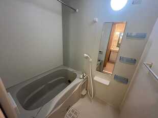 Pic15