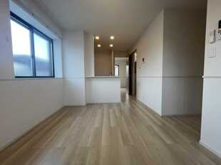 Pic3