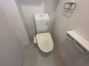 Pic8