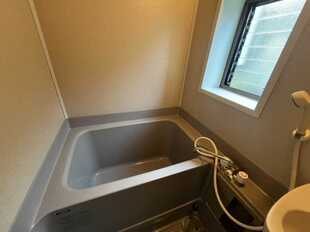 Pic7