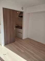 Pic1