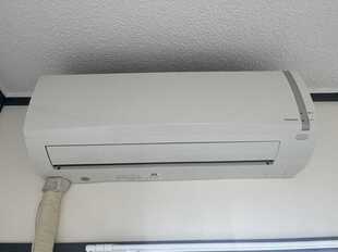 Pic19