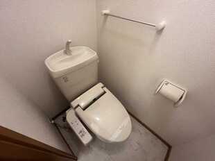 Pic5