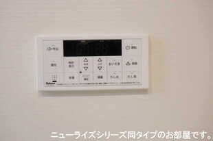 Pic11