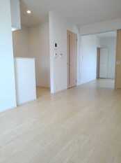 Pic1
