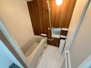 Pic7