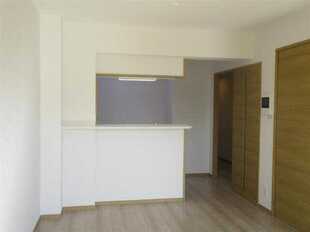 Pic1