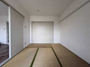 Pic11