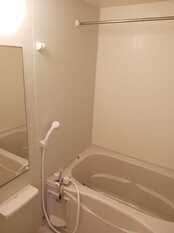 Pic3